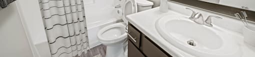a bathroom with a sink and a toilet and a shower