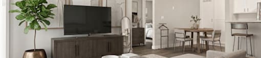 A living room with a grey sofa, a television, and a potted plant.
