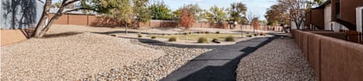 an empty street in a community with gravel and trees
