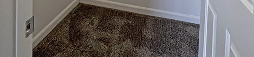 A white closet with a carpeted floor and a white door.
