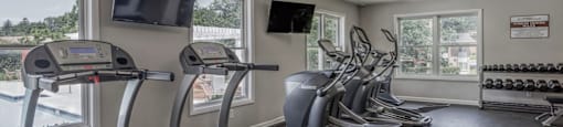 A gym with treadmills, exercise bikes, and dumbbells.