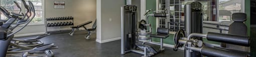 A gym with treadmills, weights, and exercise equipment.