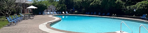 A large outdoor swimming pool surrounded by trees and a clear blue sky.