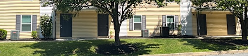 A shady tree and apartments at High Pointe Club.