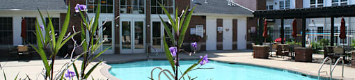 Swimming Pool and sundeck