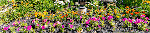 the sign for cadence parkway homes in front of a flower garden at Cadence Apartments, Roy, UT