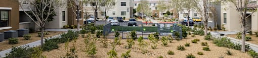 a courtyard with trees and plants in the middle of apartment buildings at CHANDLER APARTMENT HOMES, Las Vegas, Nevada