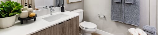 A bathroom with a toilet, sink, mirror, and a potted plant.