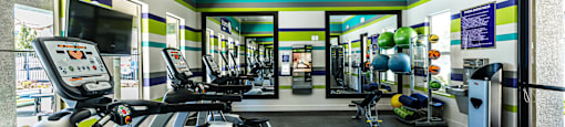 A gym with treadmills and exercise equipment.