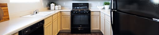 Kitchen with appliances at THE PARKSIDE VILLAS APARTMENT HOMES, Nevada