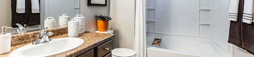 a bathroom with a sink toilet and a shower at EVERETT APARTMENT HOMES, Las Vegas, NV