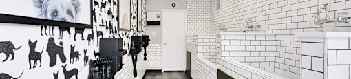 A bathroom with a white tile wall and a black and white dog mural.