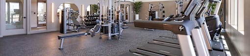 A gym with treadmills, weights, and exercise equipment.
