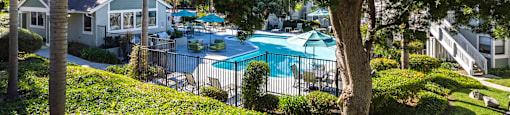 a view of the pool from a tree at SYCAMORE GREENS APARTMENT HOMES, Vista
