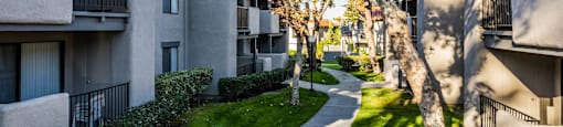 Courtyard at SYCAMORE LANE APARTMENT HOMES, California ? 