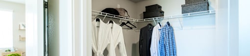 Large walk-in closet at BASE APARTMENT HOMES, Nevada