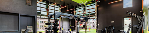A gym with a variety of equipment including a rowing machine, a bench, and a treadmill.