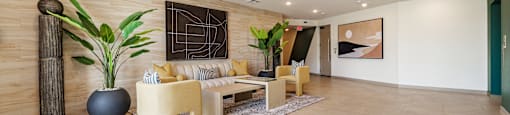 A living room with a couch, a plant, and a rug.