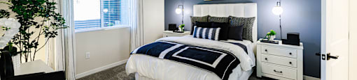 a bedroom with a white bed and a blue accent wall