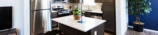 Kitchen at THE SOLANA APARTMENT HOMES, Nevada