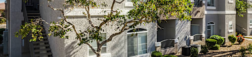 A tree in front of a building with a clear blue sky.
