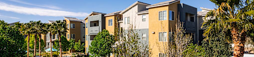 A sunny day at a residential complex with palm trees and modern houses.