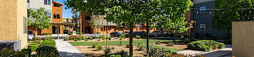 A tree in a landscaped area in front of apartment buildings.
