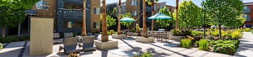 A sunny day at a park with palm trees and a building in the background.