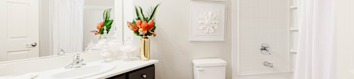 A white bathroom with a toilet, sink, and shower.