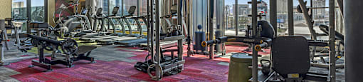 A gym with a variety of equipment including treadmills, weights, and a punching bag.