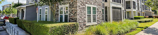 Multi-story residential buildings with attached garages and clean walkways at Lotus at Starkey Ranch in Odessa, Florida.