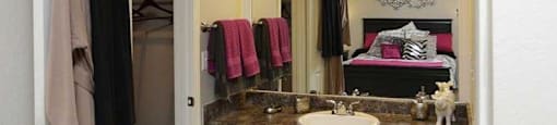 a bathroom with a sink and a mirror