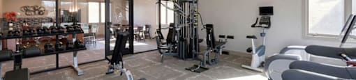 fitness center- cardio machines, weighted machines