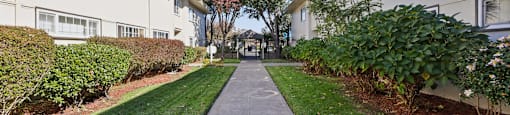 A long concrete walkway separates two rows of apartment buildings.