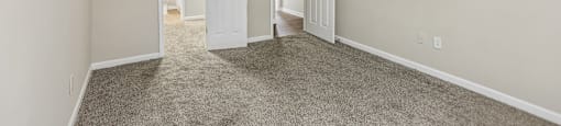 A room with carpeted floor and two open doors.