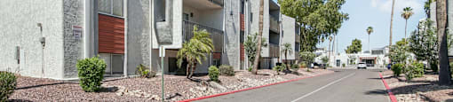 A street view of a row of modern buildings with palm trees on the side.