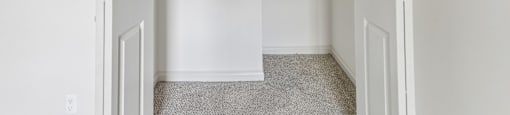 A white closet with a carpeted floor and two shelves.