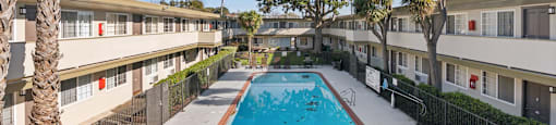 A swimming pool is surrounded by palm trees and chairs.