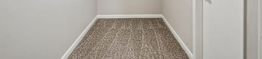 A white closet with a carpeted floor and a white door.