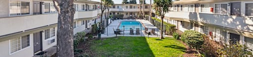 A tree in front of apartment buildings with a pool in the back.