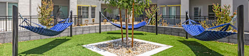 A tree in a courtyard surrounded by hammocks.