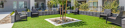 A tree in a courtyard surrounded by benches and buildings.
