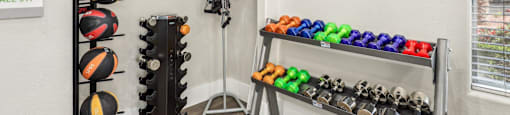 A room with a rack of exercise balls and a wall with a clock.