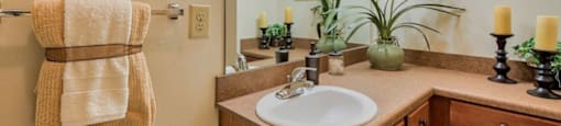 Pet-Friendly Apartments in Hinesville, GA – Tattersall Village - bathroom with long vanity and toilet