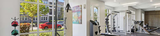 “Modern fitness room with treadmills and exercise bikes at Lotus at Starkey Ranch in Odessa, Florida.