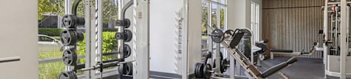 A gym with a variety of equipment including a squat rack, bench press, and a leg press machine.