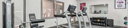 A gym with treadmills, weights, and exercise equipment.