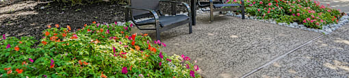 A black metal bench sits in a garden with a tree and a building in the background.