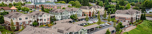 an aerial view of a neighborhood with houses and trees
