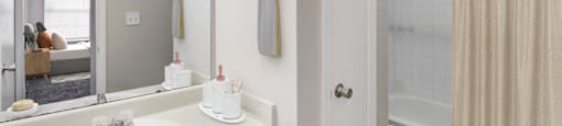 a bathroom with a sink and a mirror and a shower